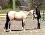 Owned by Mellwood Trakehners, TN